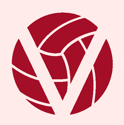 Volleyvibe